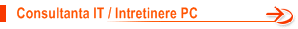     Consultanta IT / Intretinere PC