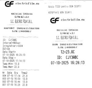 Raport detaliat si Raport scurt