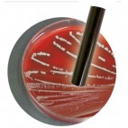 8695 AZ Flat Surface Long Tube pH Pen